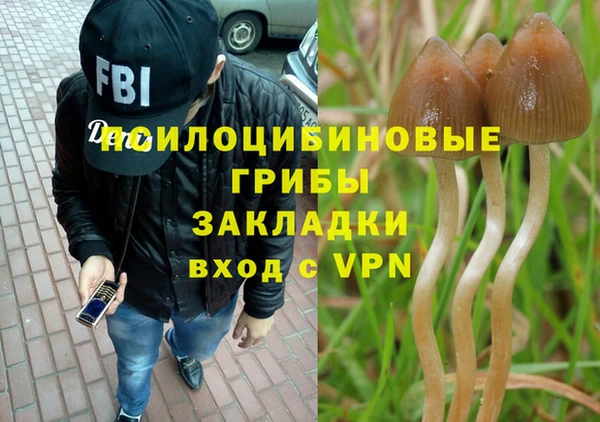 метадон Арсеньев