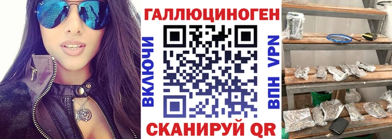 Галлюциногенные грибы Psilocybe Протвино