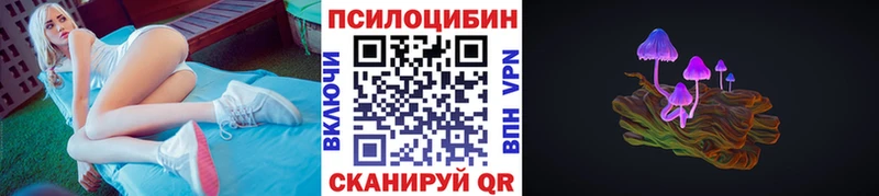 Псилоцибиновые грибы Psilocybine cubensis Протвино